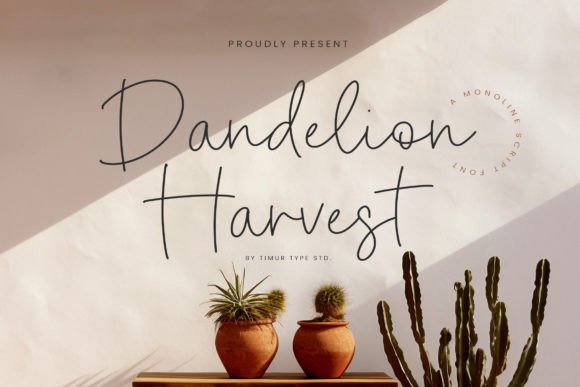 Dandelion Harvest: Elevating Design with Elegant Script