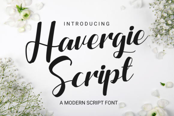 Havergie: Elevating Brand Identity Through Strategic Typography