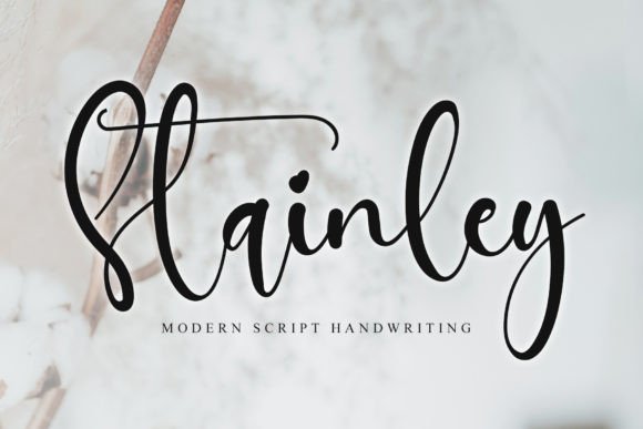 Integrating Stainley into Your Creative Workflow: A Practical Guide to Stylish Typography