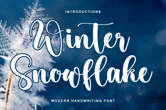 Winter Snowflake: The Elegant Script Font That Adds a Touch of Magic to Every Design